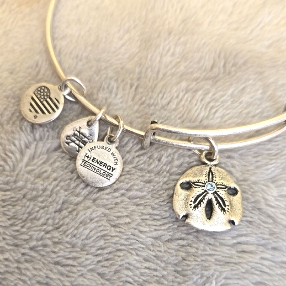 #043 Alex And Ani Silver Charm Bangle Bracelet - Picture 2 of 3
